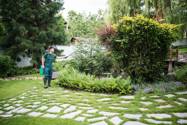 Best Wasp Removal Services  in Calabash, NC