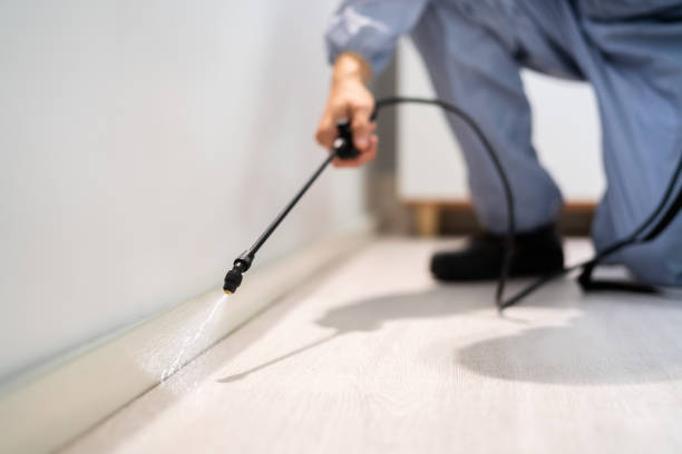 Professional Pest Control in Calabash, NC