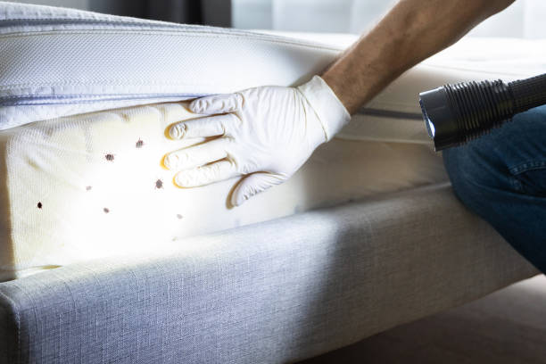 Best Pest Control Near Me in Calabash, NC